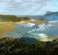 Bullimah Spur Track - Tourism Caloundra