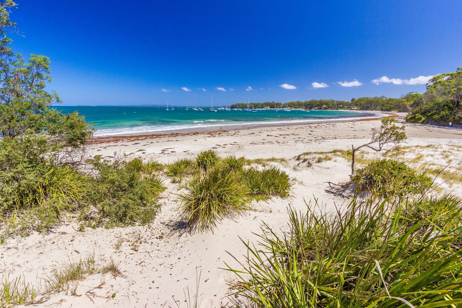 Callala Bay NSW Tourism Caloundra