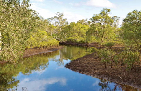 Canoe Evans River Paddle Route - Tourism Caloundra 0