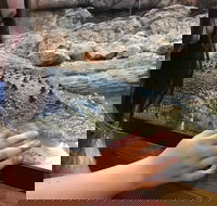 Canberra Reptile Zoo - Tourism Caloundra