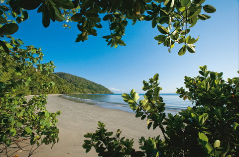 Cape Tribulation, Daintree National Park - Tourism Caloundra 1