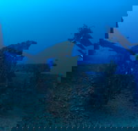 Cementco Dive Site - Tourism Caloundra