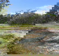 Christmas Rock Walk - Tourism Caloundra