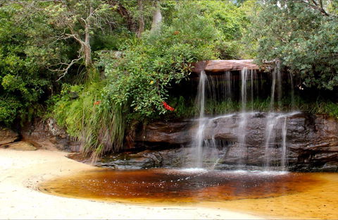 Collins Flat Beach - Tourism Caloundra 0