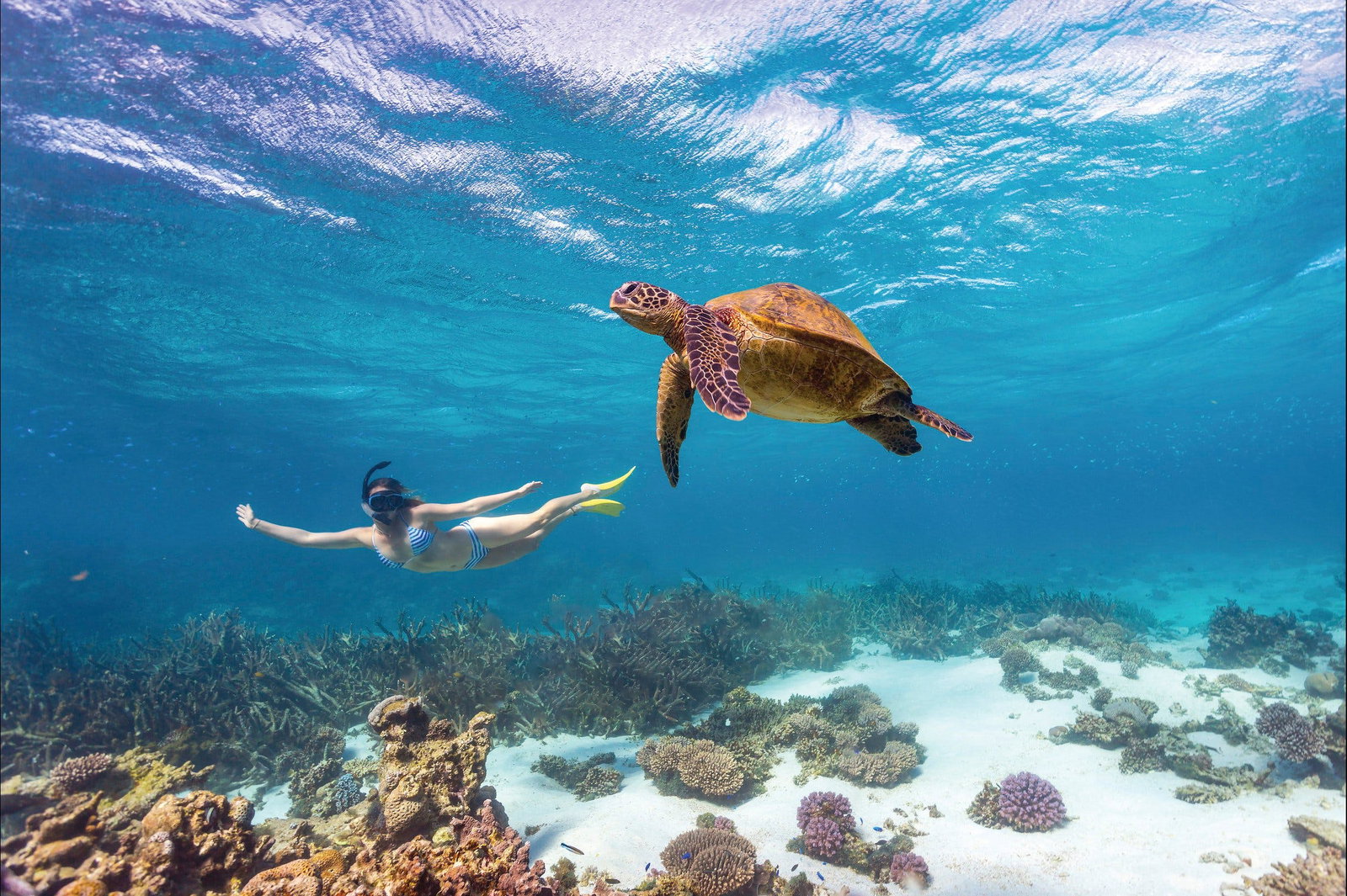  Tourism Caloundra