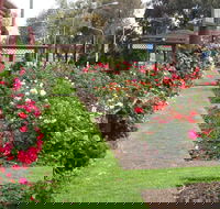 Cowra Rose Garden - Tourism Caloundra