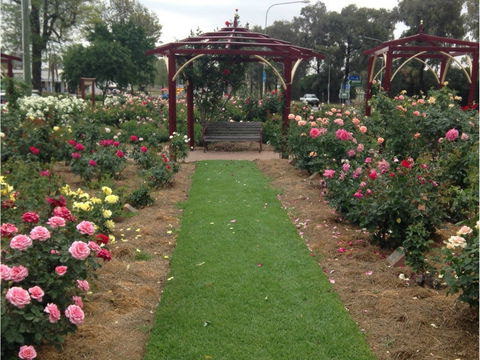 Cowra Rose Garden - Tourism Caloundra 1