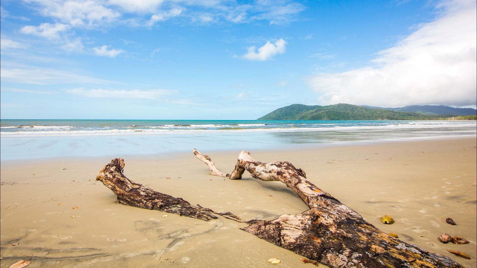 Cow Bay QLD Tourism Caloundra