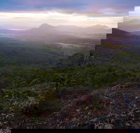Cunninghams Gap and Spicers Gap Main Range National Park - Tourism Caloundra