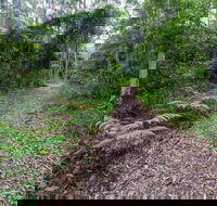 Double Wharf Trail - Tourism Caloundra
