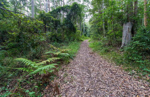 Double Wharf Trail - Tourism Caloundra 0