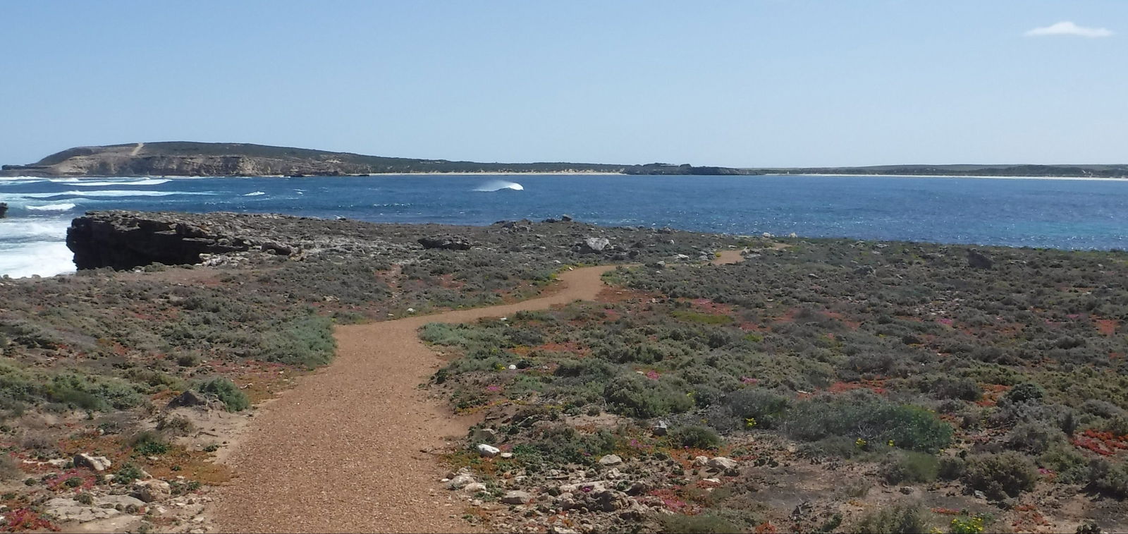 Elliston SA Tourism Caloundra