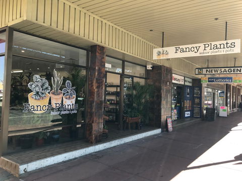 Fancy Plants - Tourism Caloundra 1