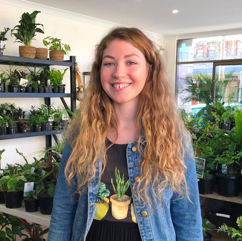 Fancy Plants - Tourism Caloundra 2