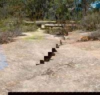 Finchley Cultural Walk - Tourism Caloundra