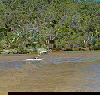 Fitzpatrick Park - Tourism Caloundra