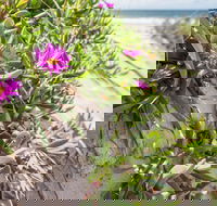 Fort Bribie - Tourism Caloundra