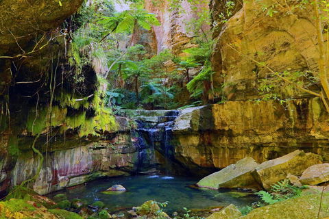 Glimpse Of The Outback 5 Day Tour - Roma And Surrounds - Tourism Caloundra 0