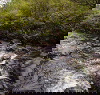 Gloucester River walking track - Tourism Caloundra
