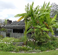 Gold Coast Historical Museum Inc - Tourism Caloundra