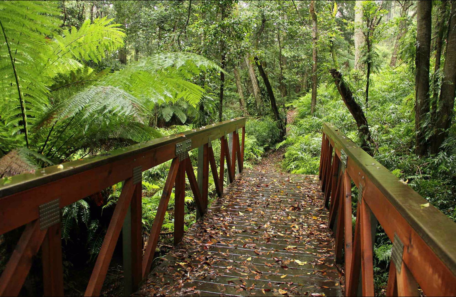 South Wolumla NSW Tourism Caloundra