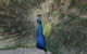 Gorge Wildlife Park - thumb 1