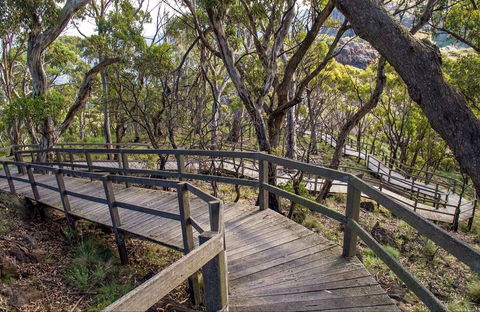 Governor Summit (Corrunbral Borawah) Walking Track - Tourism Caloundra 0
