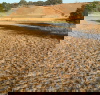 Gunning Golf Club - Tourism Caloundra
