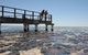 Hamelin Pool Stromatolites - thumb 1