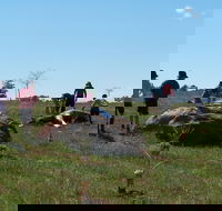 Jim Salmon  Wetland Education Site - Tourism Caloundra