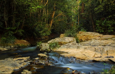 Jumrum Creek Walk, Jumrum Creek Conservation Park - Tourism Caloundra 0