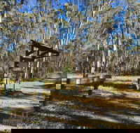 Kaiserstuhl Conservation Park - Tourism Caloundra