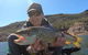 Lake Bellfield - thumb 2