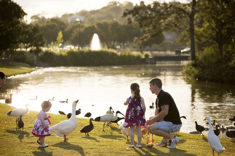 Lake Alford Recreational Park - Tourism Caloundra 0