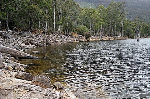 Lake Rowallan - Tourism Caloundra 1