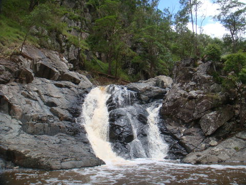 Landcruiser Mountain Park - Tourism Caloundra 2