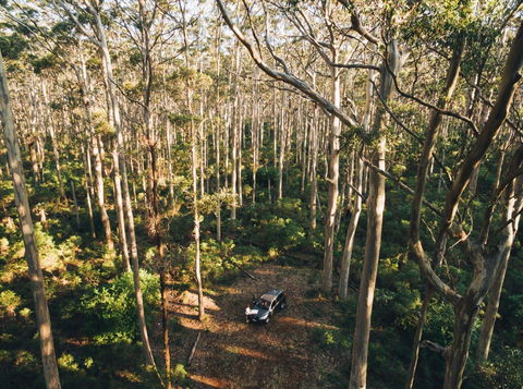Leeuwin-Naturaliste National Park - Cowaramup - Tourism Caloundra 0