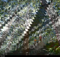 Leeuwin-Naturaliste National Park - Leeuwin