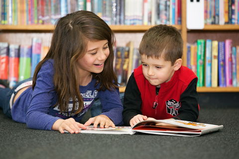 Maitland City Library - Tourism Caloundra 0