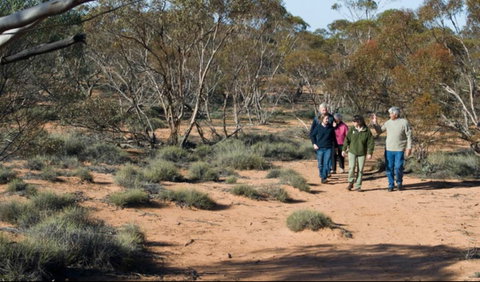 Mallee Stop Walking Track - Tourism Caloundra 0