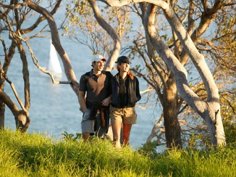 Manly To Spit Bridge Scenic Walkway - Tourism Caloundra 2
