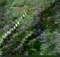 Mapleton Falls National Park - Tourism Caloundra
