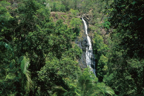 Mapleton Falls National Park - Tourism Caloundra 0
