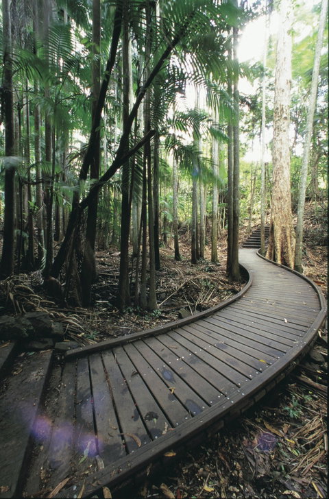 Mapleton Falls National Park - Tourism Caloundra 1