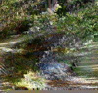 McDirtys Walking Track - Tourism Caloundra