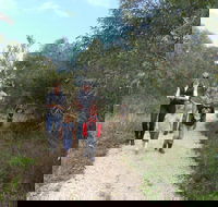 Meningie Lions Walking Trail - Tourism Caloundra