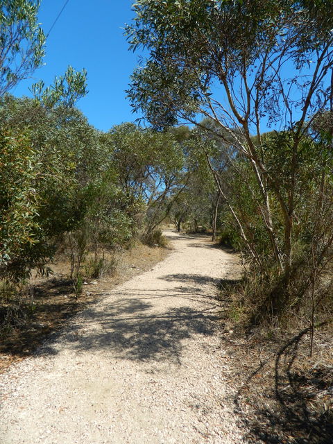 Meningie Lions Walking Trail - Tourism Caloundra 2