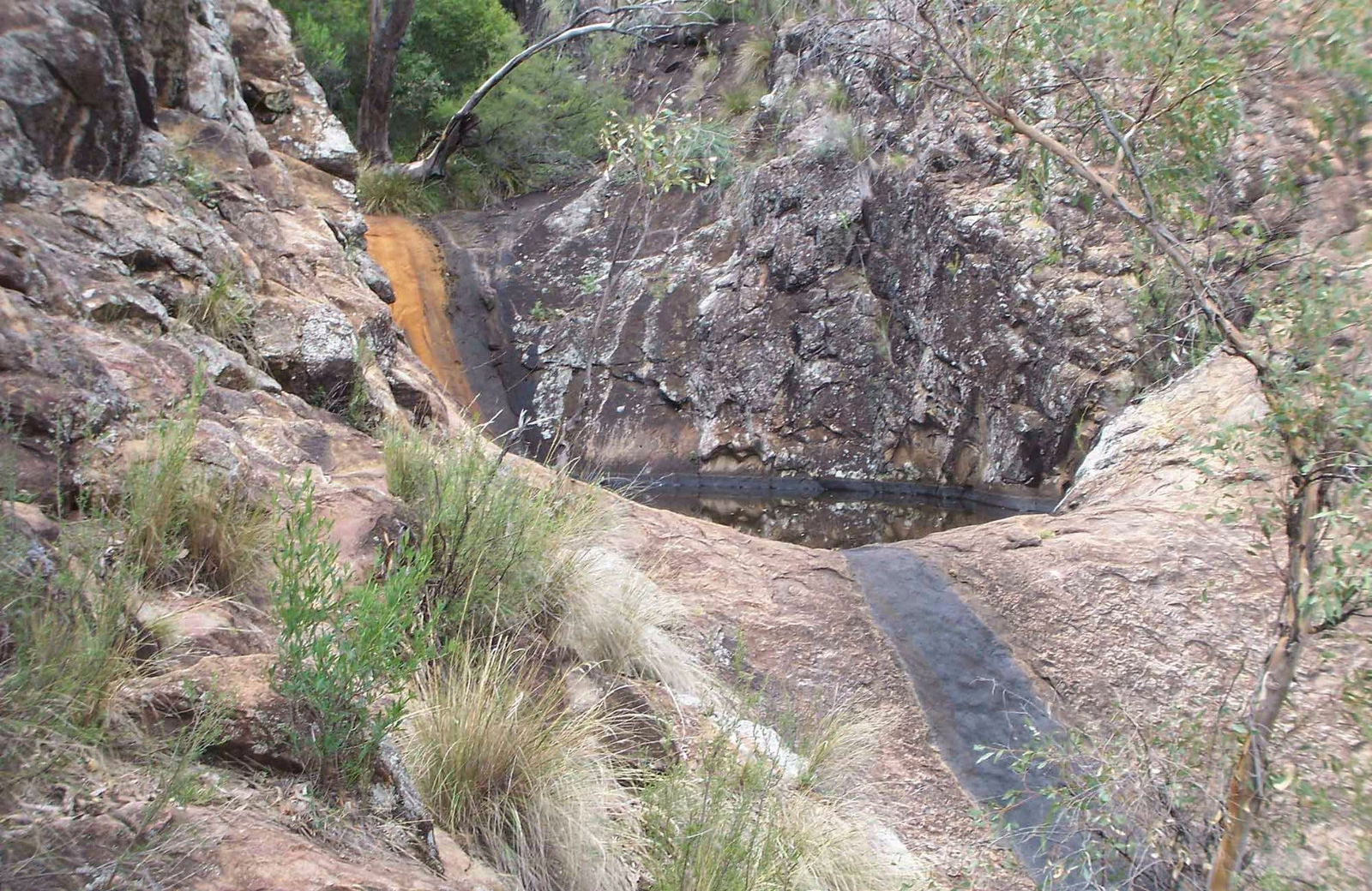 Berrigal NSW Tourism Caloundra