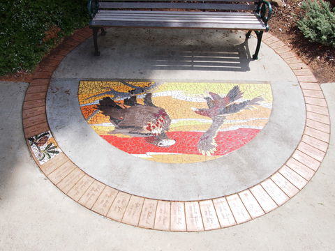 Mosaic Pathway (WASS) - Tourism Caloundra 2