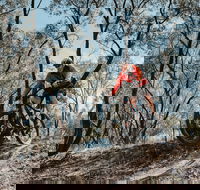 Mountain Bike Trails Deniliquin - Tourism Caloundra